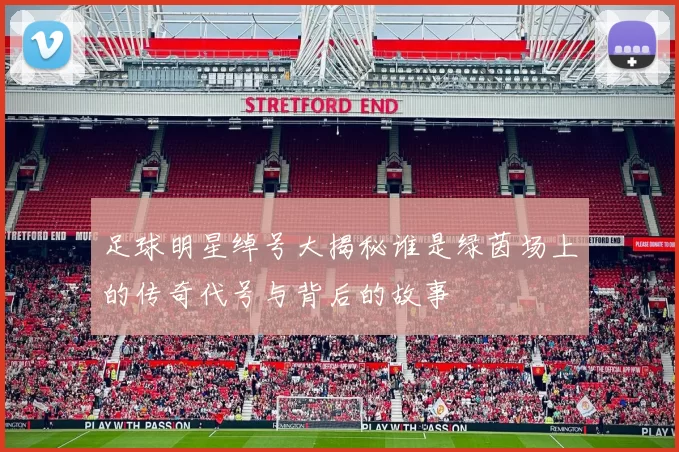 足球明星绰号大揭秘谁是绿茵场上的传奇代号与背后的故事