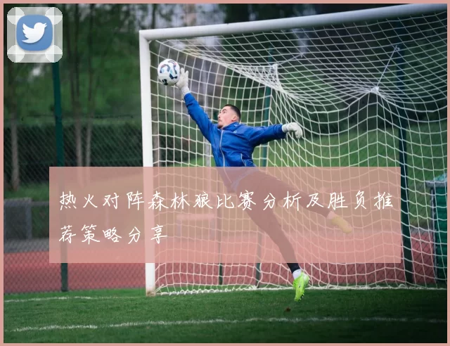 热火对阵森林狼比赛分析及胜负推荐策略分享